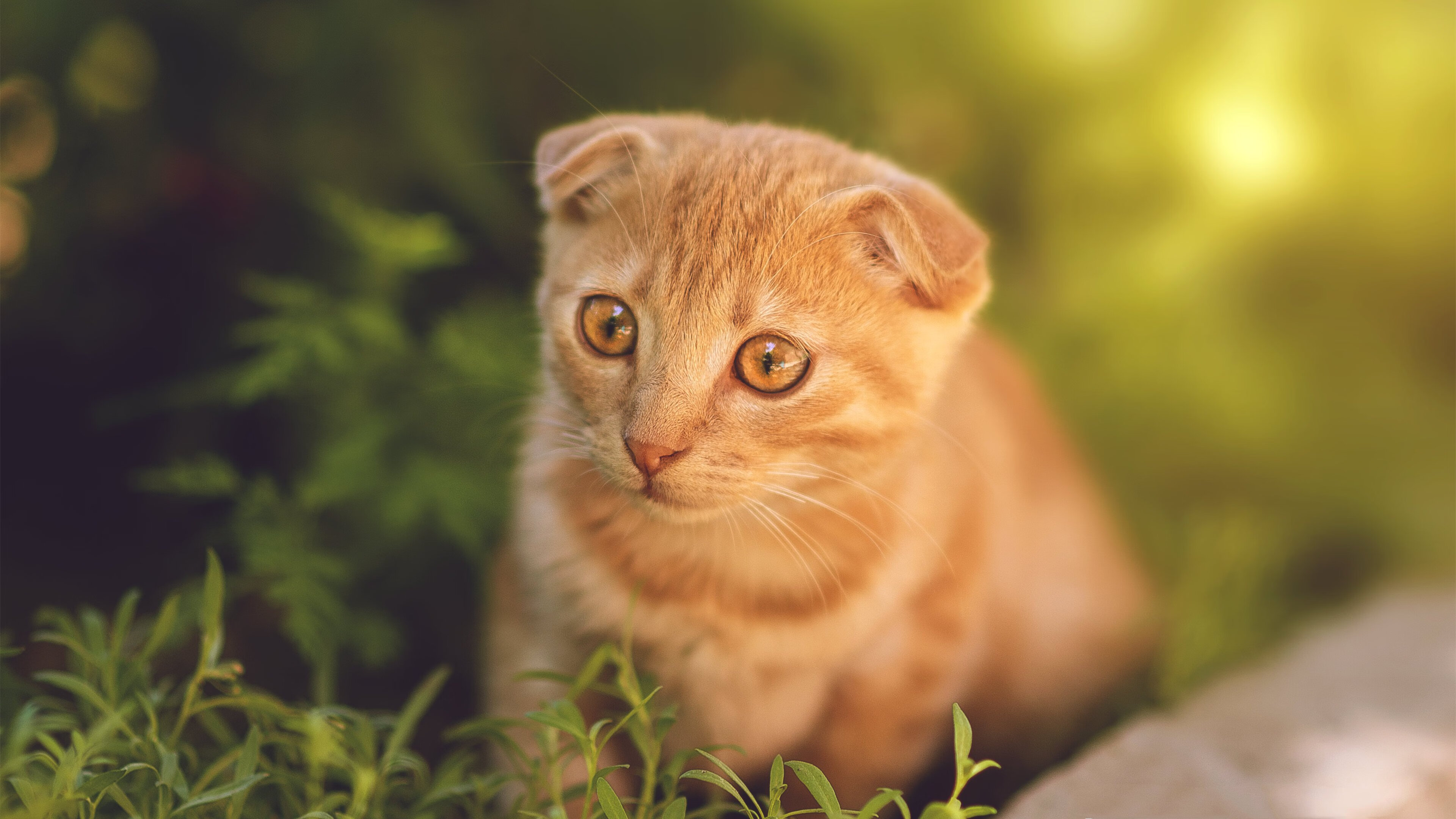 kaiyun.com-中国农村地区篮球普及“春风行动”，推动全民健身，乡村篮球联赛